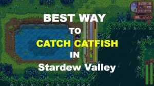 How I Catch a CATFISH – Stardew Valley [Hard to Catch]