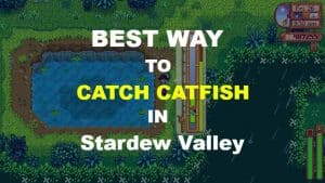 star dew valley catfish
